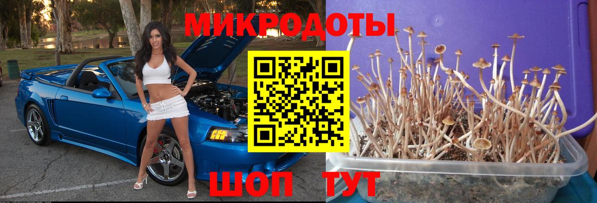 Керчь  цена   Вход с VPN  Псилоцибиновые грибы мухоморы  Псилоцибиновые грибы MAGIC MUSHROOMS 